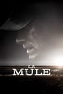 Affiche du film "La Mule"